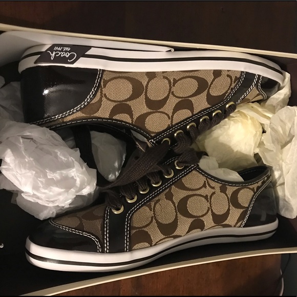 coach converse style shoes